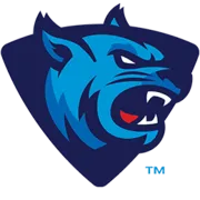 #4 Lions Hit Go-Ahead Grand Slam In Eighth To Beat #1 Bearcats In Black College World Series Opener